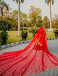nikkkah veil dubbata